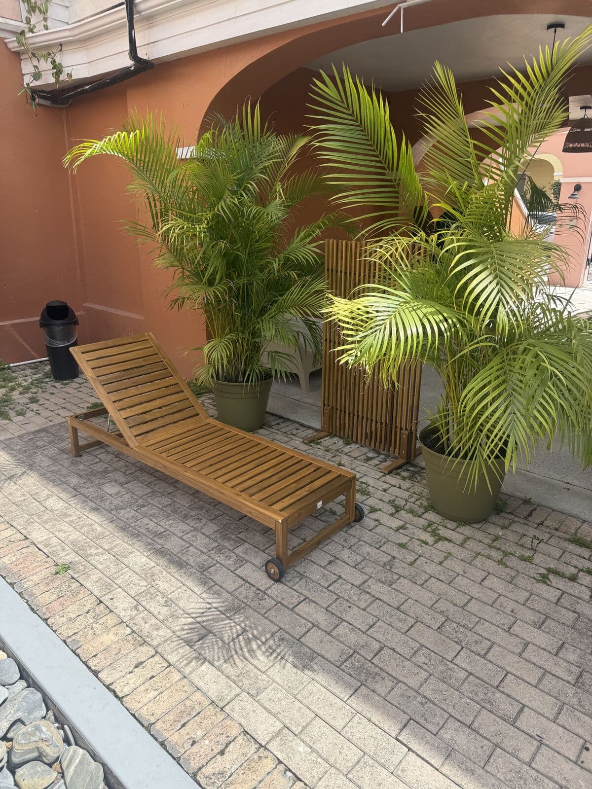 Courtyard lounger under the palms